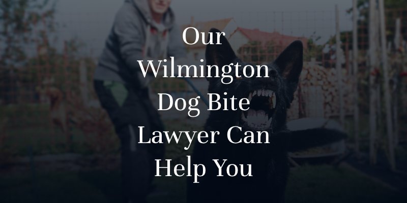 Our Wilmington Dog Bite Lawyer Can Help You